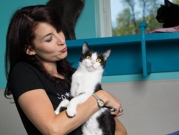 Sip And Purr Cat Cafe To Celebrate One Year In Business